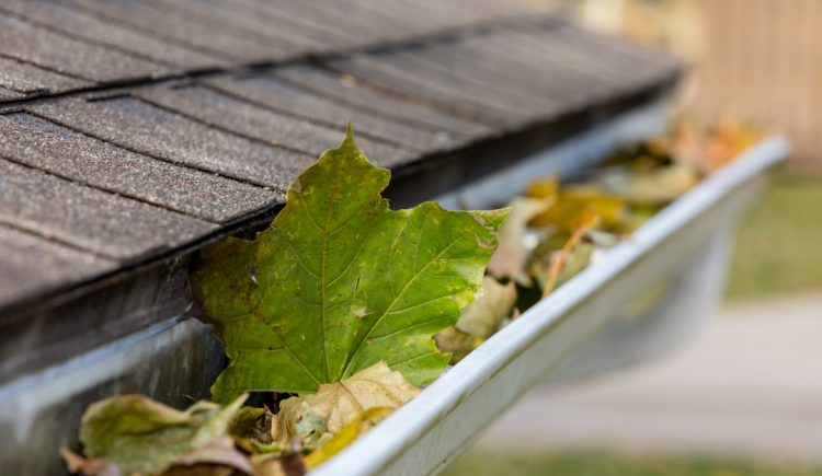 Indoor and Outdoor Cold Season To-Do’s