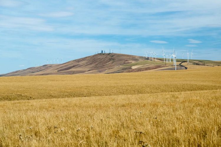 ERA® Expands in Central Washington