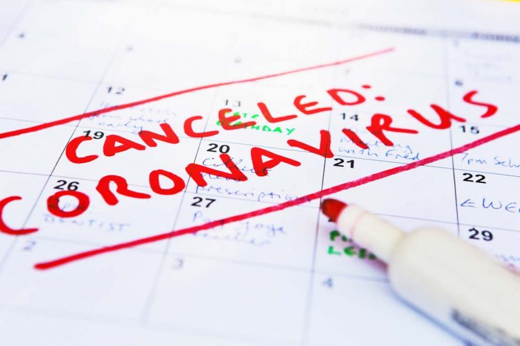 Making Sense of the COVID Months