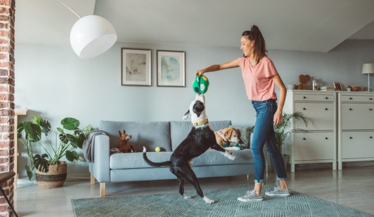 4 Home Upgrades for Pet Lovers