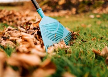 Cleaning Up Your Yard Can Reduce Your Fire Risk