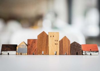 Grass-Roots Development Opposition Hinders Healthy Growth