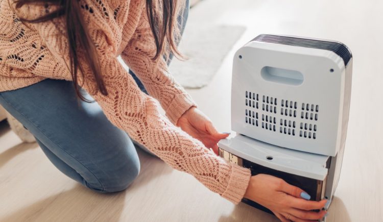 How to Maintain Your Dehumidifier