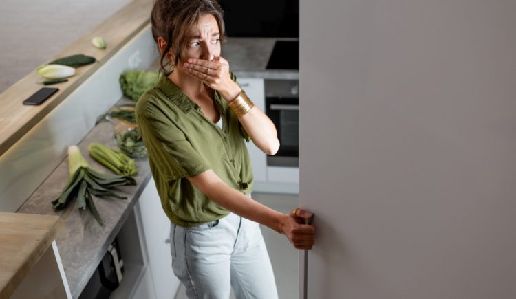 If You Lose Power, Will Homeowners Insurance Pay for Food That Goes Bad?