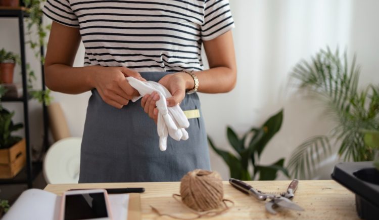 Preparing for Your Spring Garden in February