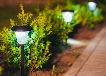 A Guide to Backyard Lighting