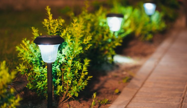 A Guide to Backyard Lighting