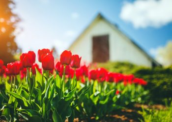 How to Set Up Your Home to List by the Spring