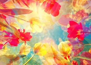 Spring Color Choices That Reflect Budding Optimism