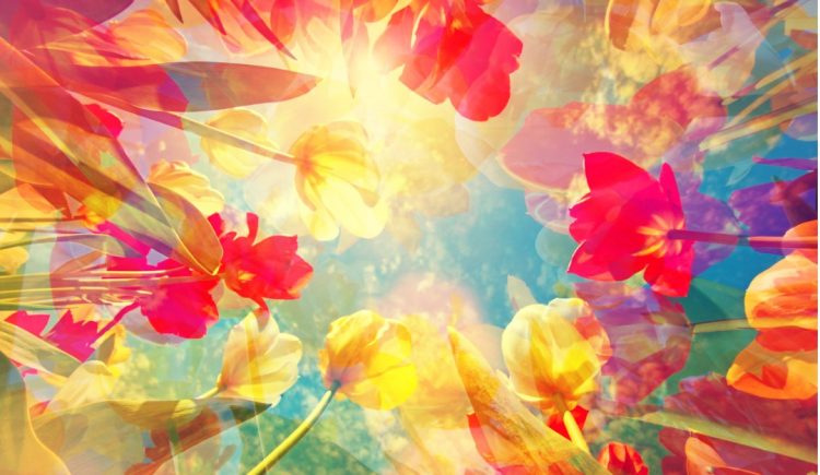 Spring Color Choices That Reflect Budding Optimism