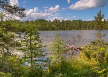 Better Homes and Gardens Real Estate Expands in Minnesota