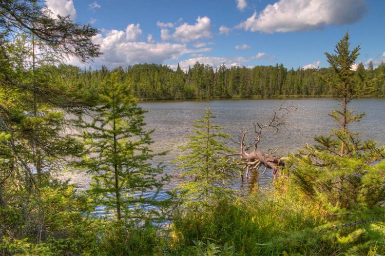 Better Homes and Gardens Real Estate Expands in Minnesota