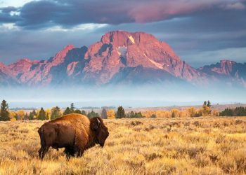 Berkshire Hathaway HomeServices Expands in Wyoming