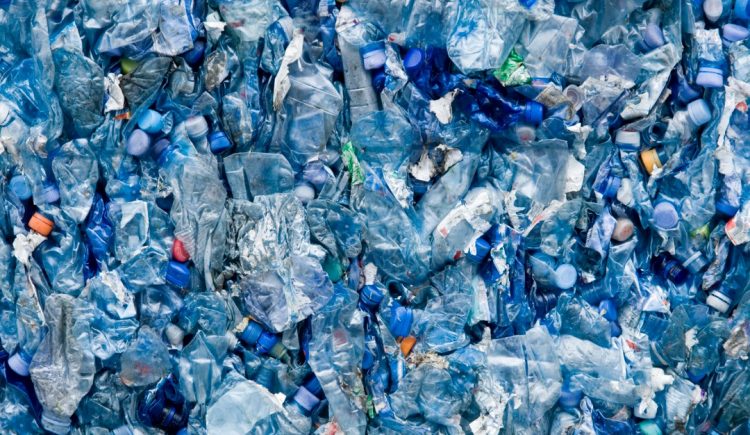 6 Ways to Save Money and Reduce Plastic Waste