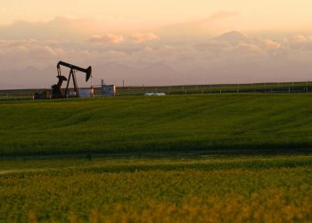 The Ebby Halliday Companies Acquires East Texas Brokerage