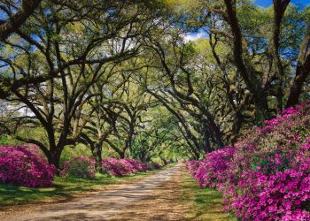 ERA® Real Estate Bolsters Southern Louisiana Presence With Affiliation of Godwyn Realty ERA Powered