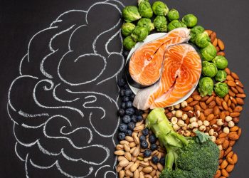 6 Brain Foods You Need to Add to Your Diet