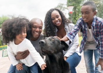 4 Tips for a Successful Dog Adoption
