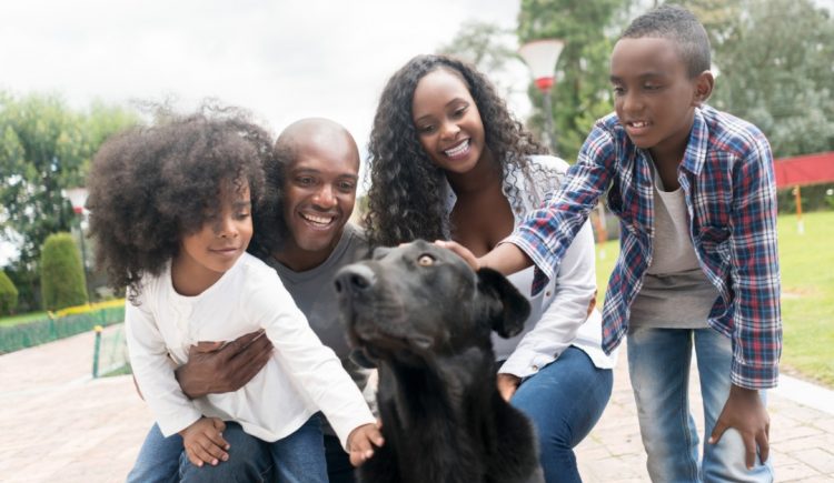 4 Tips for a Successful Dog Adoption