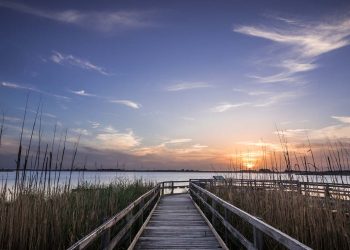 Ribbon Partners With Weichert in Virginia to Empower Local Homebuyers with Cash