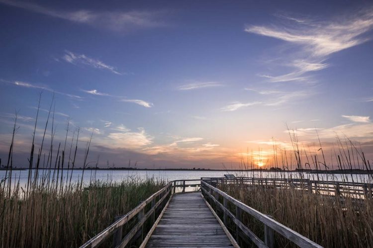 Ribbon Partners With Weichert in Virginia to Empower Local Homebuyers with Cash