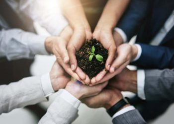 Rise to the Next Level with Expansion Teams