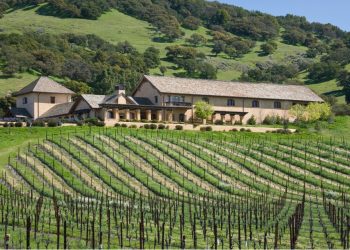 What to Look for When Buying a Vineyard Estate