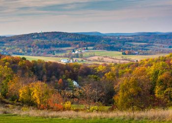 eXp’s Fine Living Group Expands D.C.-Area Team