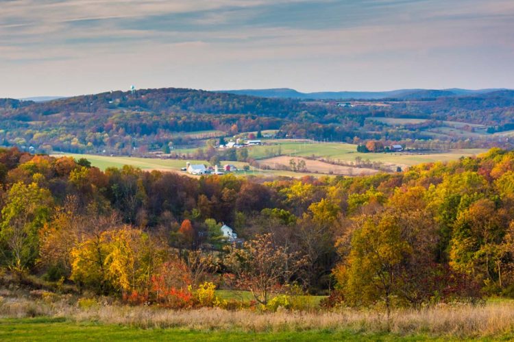 eXp’s Fine Living Group Expands D.C.-Area Team