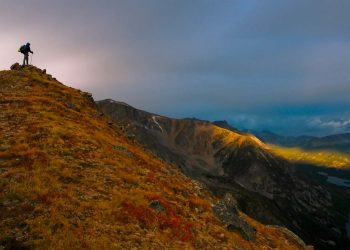 Weichert Enters Montana Market