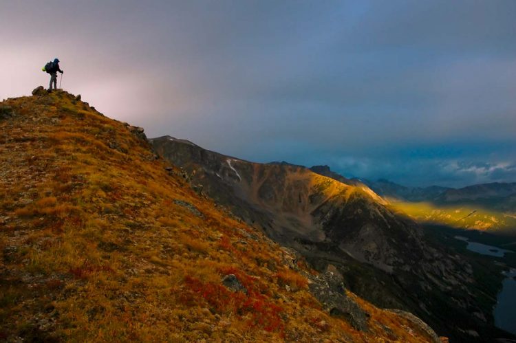 Weichert Enters Montana Market