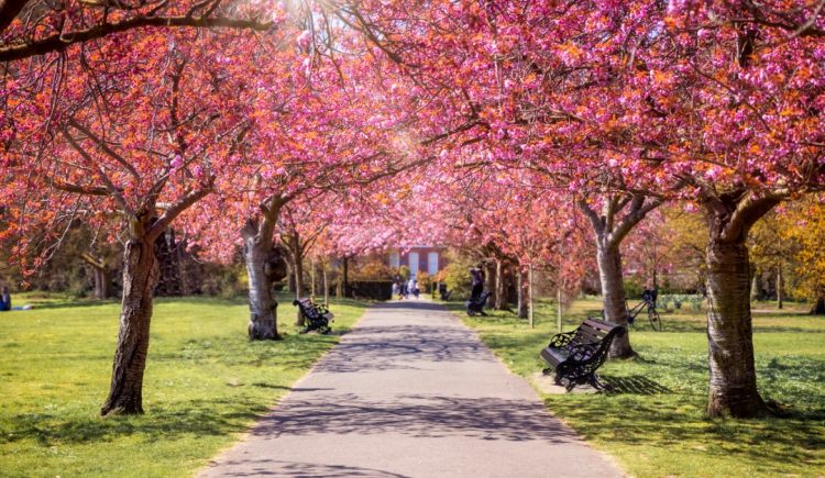 4 Spring Home Problems (and How to Avoid Them)