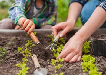 9 Garden Hacks You’ll Be Glad You Know