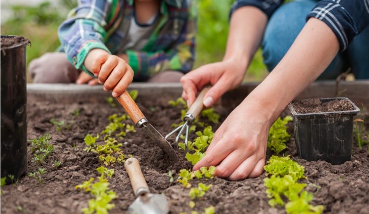 9 Garden Hacks You’ll Be Glad You Know