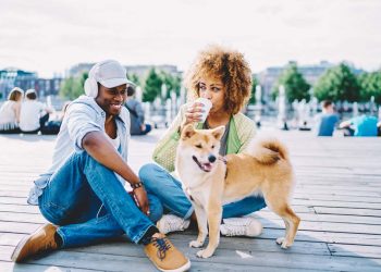 Fur Babies Rule the Roost: New Report Shows Fastest-Growing Dog-Friendly Cities