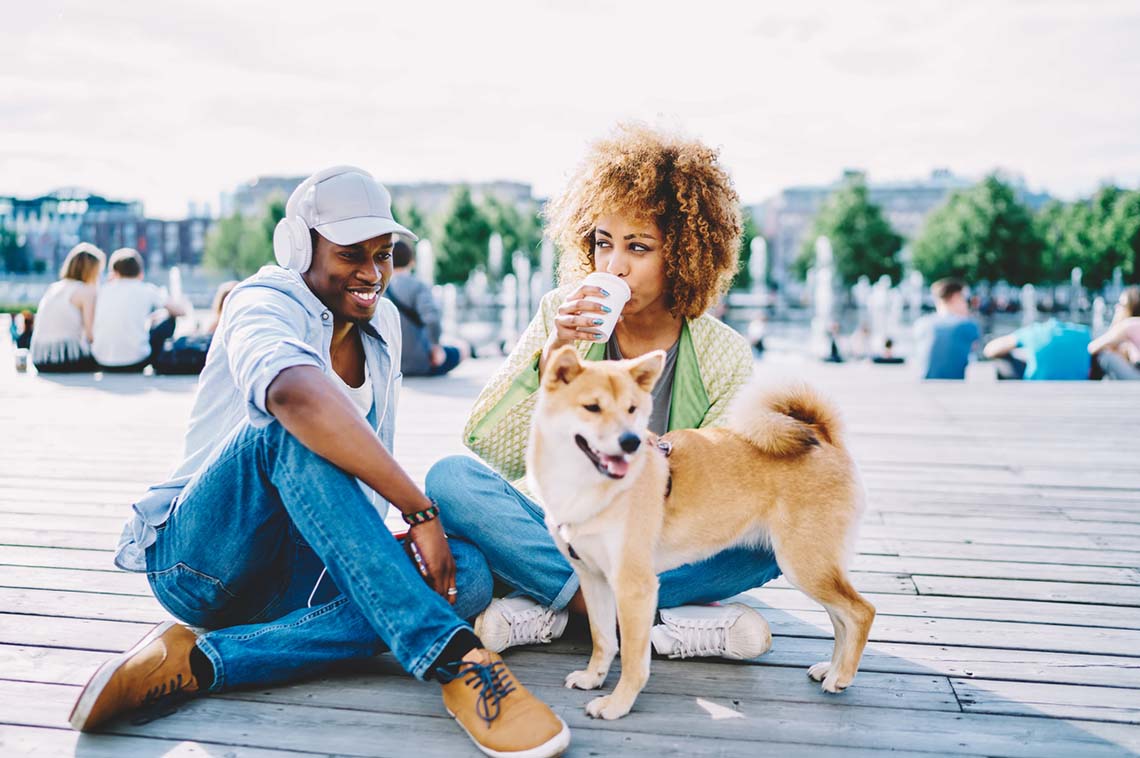 Fur Babies Rule the Roost: New Report Shows Fastest-Growing Dog-Friendly Cities - Vimarsana News