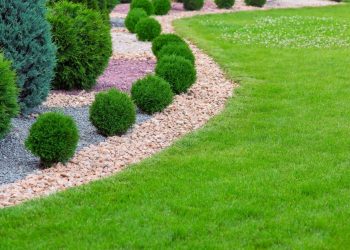 How to Have a Beautiful Garden in an Area With Limited Water