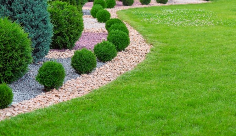 How to Have a Beautiful Garden in an Area With Limited Water