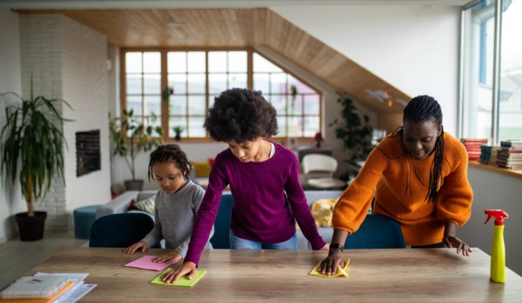 Top Tips for Efficient Spring Cleaning