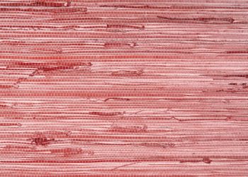 Unique Luxury Wall Covering Ideas