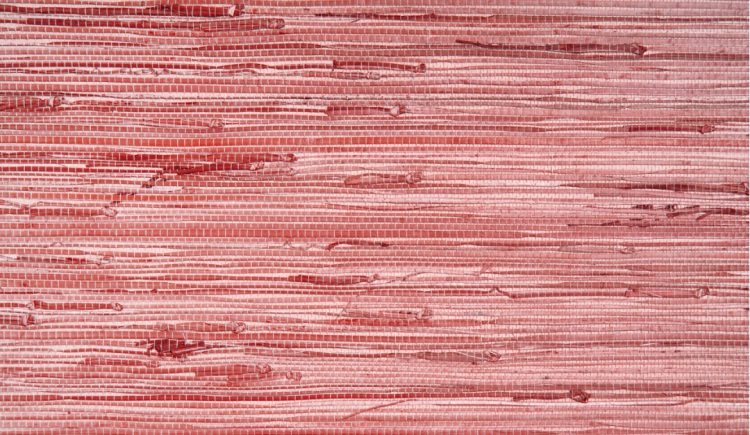 Unique Luxury Wall Covering Ideas