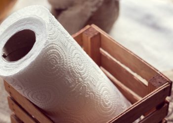 Simple Crafts and Uses for Your Leftover Paper Towel Rolls