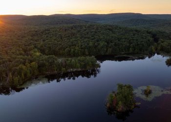 CENTURY 21 Announces New Affiliate in New York State