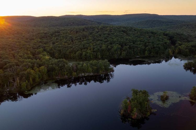 CENTURY 21 Announces New Affiliate in New York State