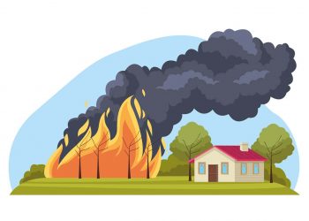 Don’t Get Burned: Fire Risk Database Informs Consumers
