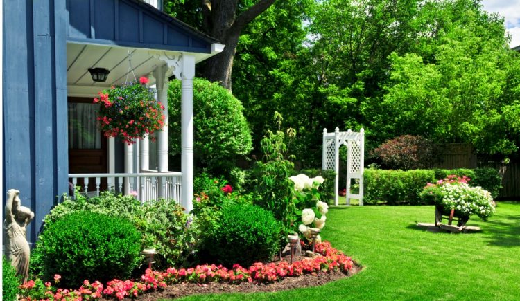 Accessories to Make Your Yard Feel Fresh