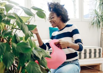 How to Choose the Right Houseplants