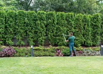 5 Landscaping Mistakes That Kill ROI