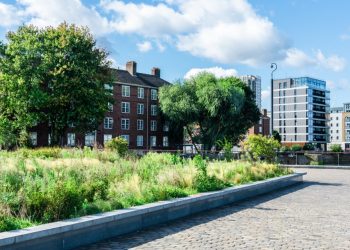 Unique Luxury Building Amenities