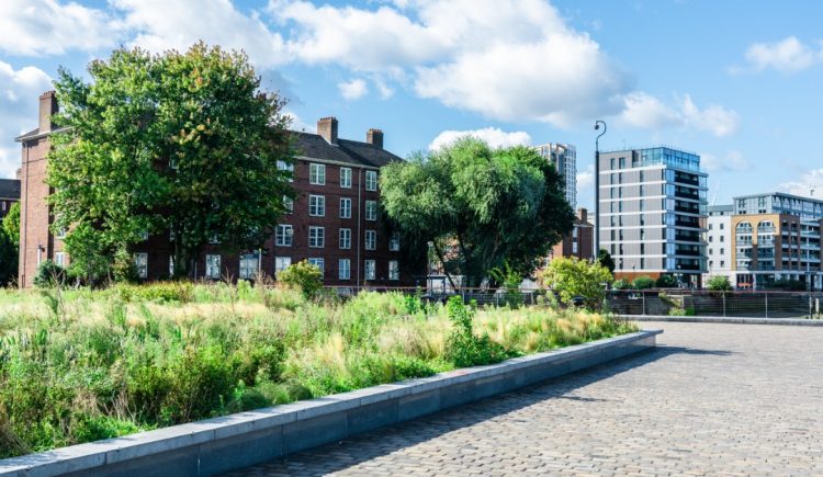 Unique Luxury Building Amenities